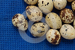 Quail Eggs on a Blue Surface