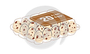 Quail eggs in box, plastic package, packed in transparent container. Fresh raw food with speckled shell, spotty eggshell