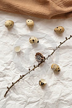 Quail eggs and branch with cone on crumpled paper background with wool fabric. Easter creative concept. Top view. Flat lay