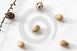 Quail eggs and branch with cone on pastel background. Easter concept. Top view