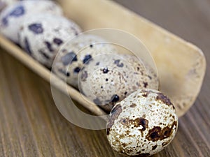 Quail eggs