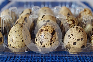 Quail Eggs in a Carton