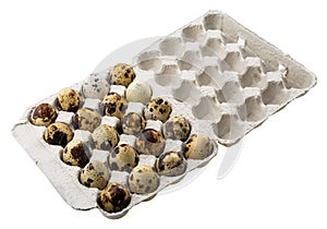 Quail eggs in carton box