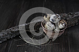 Quail eggs in clay pot on dark background