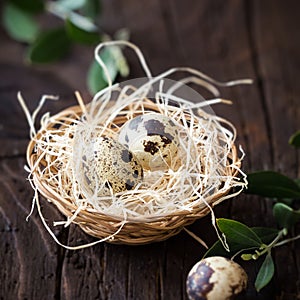 Quail eggs in a decorative nest for Easter