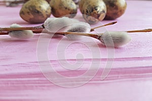 Quail eggs easter peace romancebranch nature of a beautiful decoration willow tradition on a pink wooden background