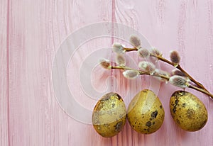 Quail eggs easter sunday empty decorated of a beautiful decoration willow tradition on a pink wooden background