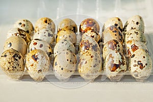 Quail eggs on an egg formwork