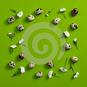 Quail eggs with flower top view. Green background. Square shape flat lay