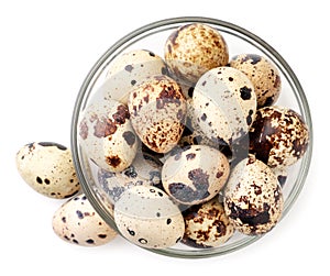 Quail eggs in a glass bowl top view. Isolated