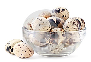 Quail eggs in a glass plate on a white. Isolated