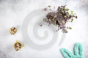 Quail eggs on the grass on concrete background. Happy Easter concept. Top view, copy space