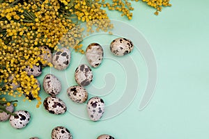 Quail eggs on a green background