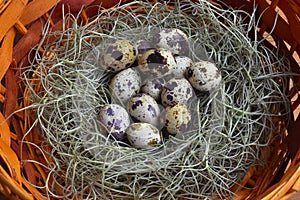 Quail eggs in the green nest put on brown basket