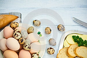 Quail eggs and hen egg with bread and butter