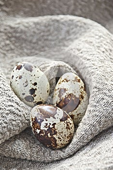 Quail eggs on homespun fabric