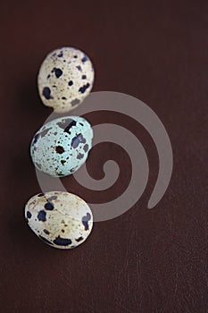 Quail eggs on leather background