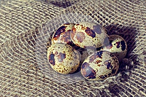 Quail eggs