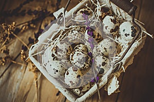 Quail eggs in a lined wire basket, on straw, with beige dry flowers and lavender