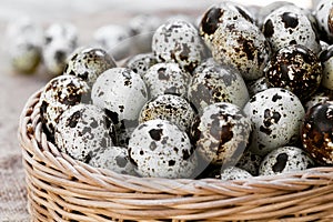 Quail eggs a lot of in basket and heap shell quail eggs on sackcloth of the wooden background.