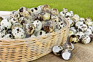 Quail eggs a lot of in basket and heap shell quail eggs on sackcloth of the grassland background.