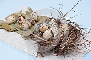 quail eggs