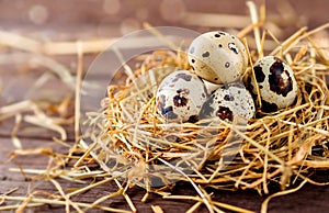 Quail eggs in a nest of dry grass, hay, on a wooden background. Easter festive background