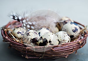 Quail eggs