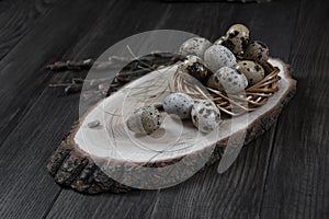 Quail eggs in a nest and twigs of willow blossom