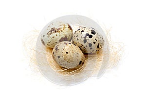 Quail eggs
