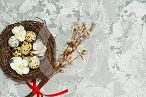 Quail eggs in the nest and willow branch