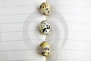 Quail eggs on notebook