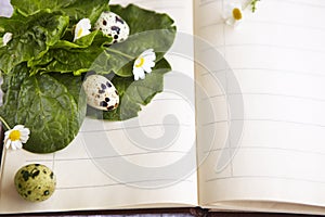 Quail eggs on a notebook with daisies