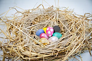 Quail eggs painted by Kids crafts for Easter Eggs, Handmade of Color poster painted on nest grass.