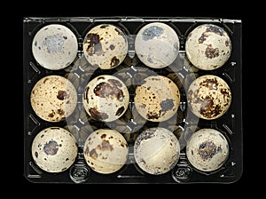 Fresh quail eggs in plastic egg carton, from above, over black