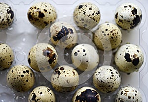 Quail eggs in plastic packaging. Quail eggs on a white background. A delicious snack