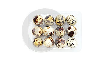 Quail eggs in a plastic tray isolated