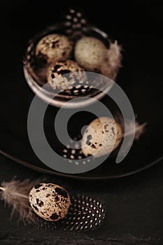 Quail eggs plate on a black background.Organic natural bio quail eggs with feathers.Useful healthy food