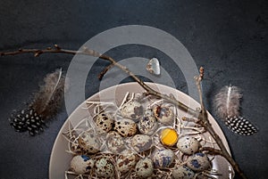 Quail eggs on a plate