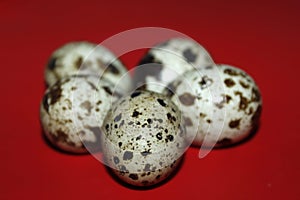 Quail eggs on red background