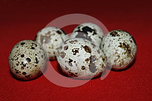 Quail eggs on red background
