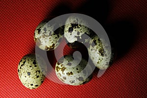 Quail eggs on Red background