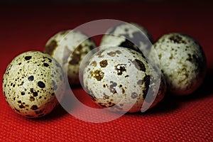 Quail eggs on red background