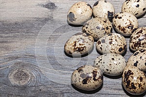 Quail eggs