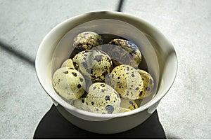 Quail eggs in a small white plate on a concrete background, standing on the table