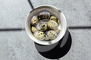 Quail eggs in a small white plate on a concrete background, standing on the table