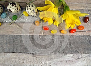 Quail eggs with spring decoration for easter with narcissus/daffodils at wooden background