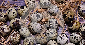 Quail eggs and straw on wood