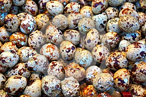 Quail eggs