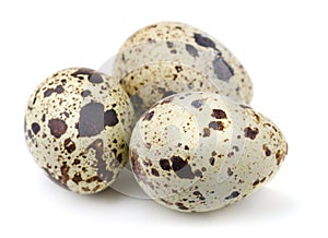 Quail eggs